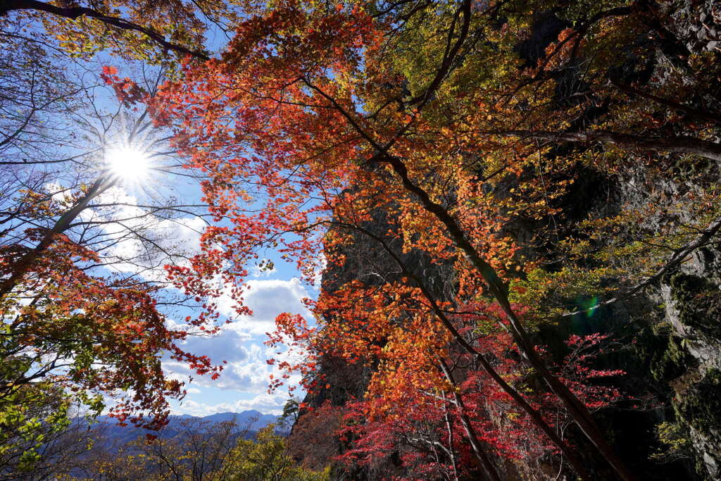 モミジ染まる岩櫃山