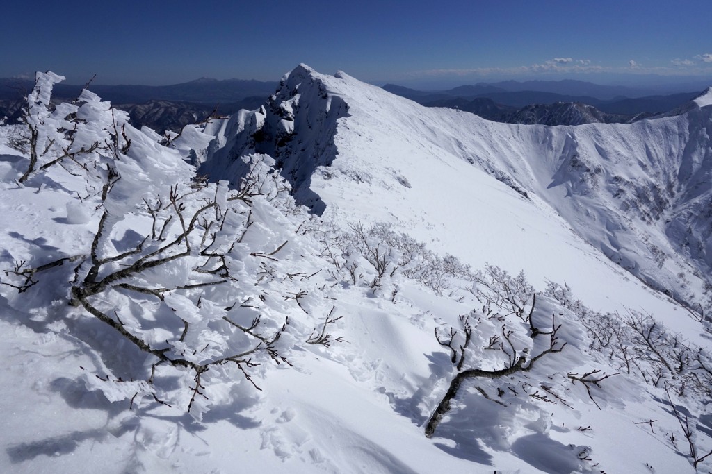 霧氷と谷川山頂