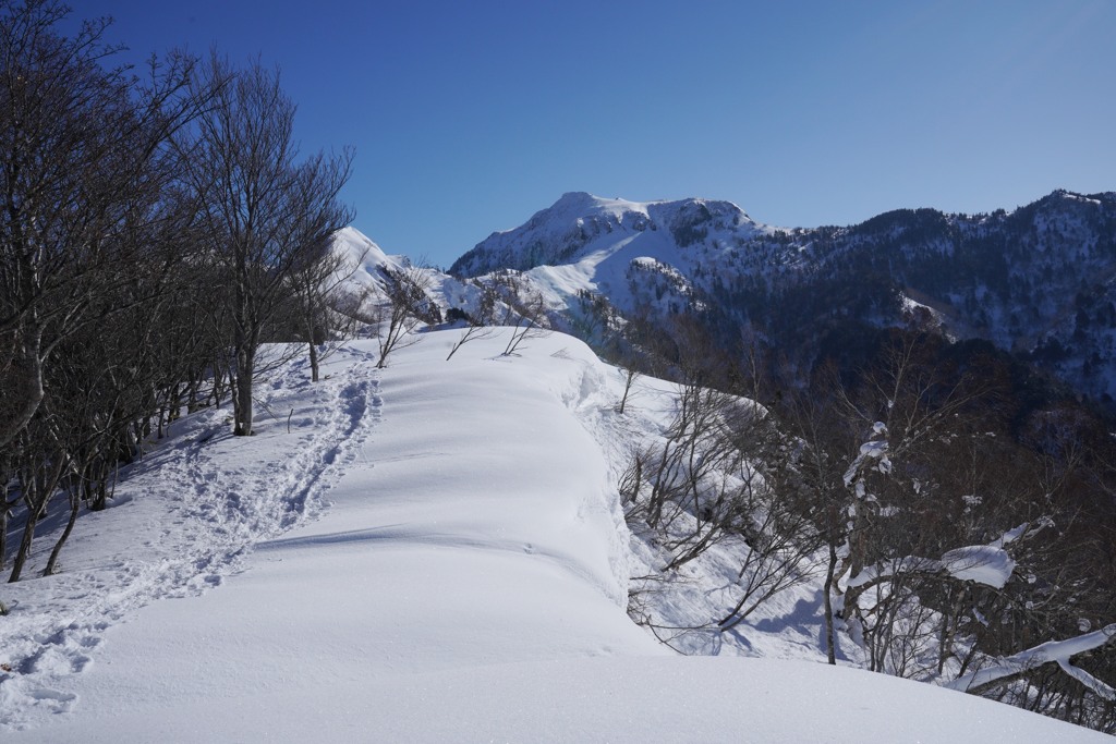 冬季限定ルート
