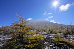 カラマツと雪の浅間山