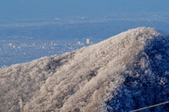 霧氷の荒山と前橋市内