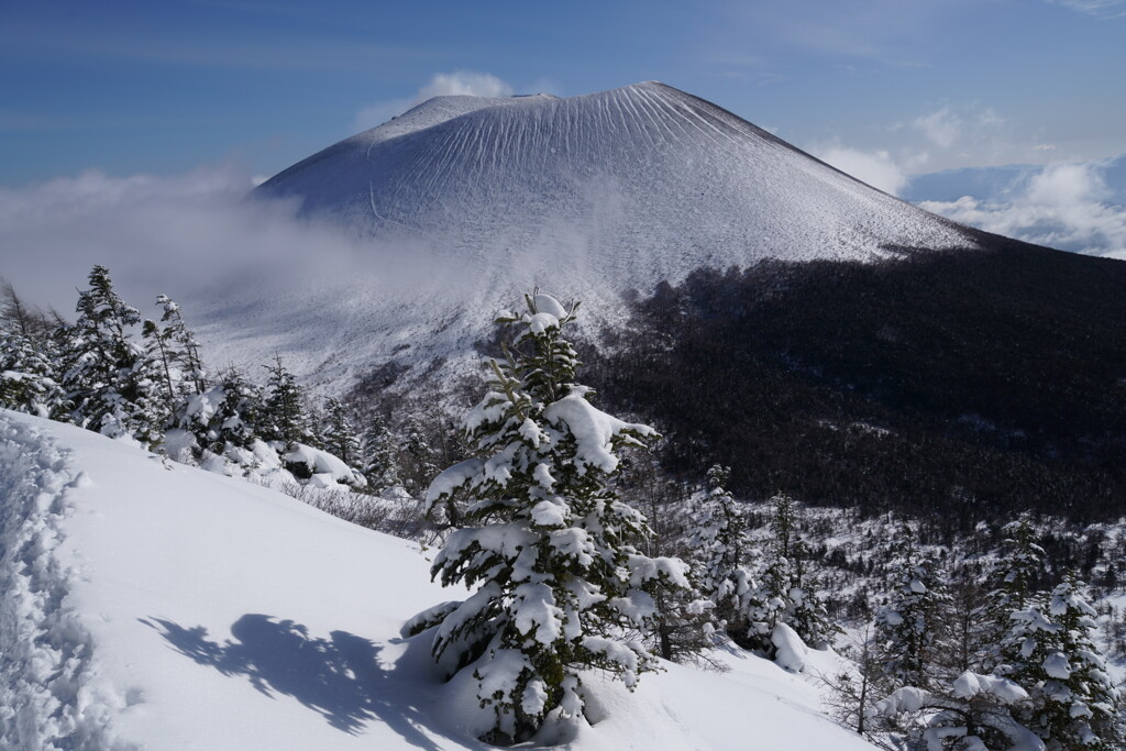 ミニモンスターと浅間山