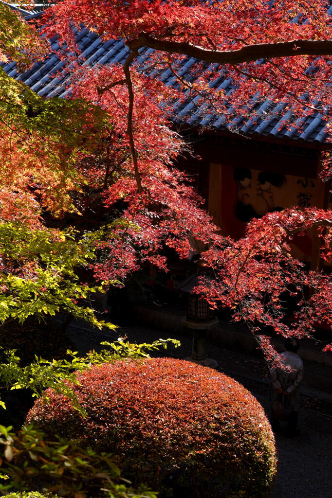 もみじ色付く崇禅寺　2