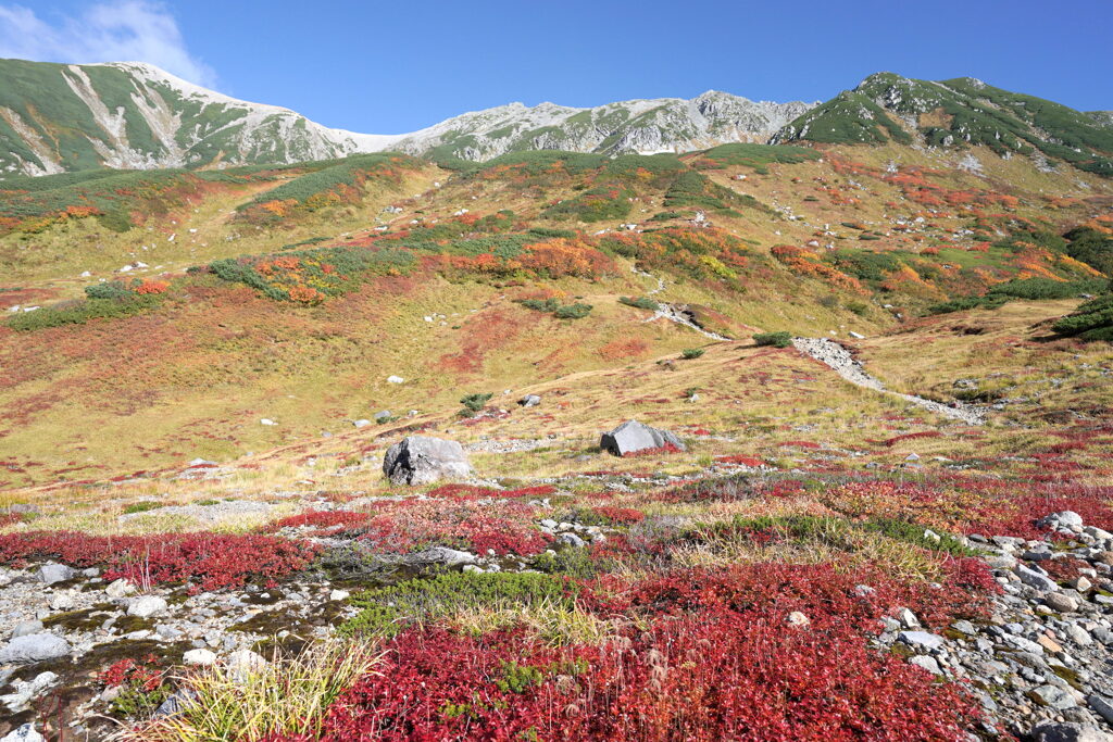 秋染まる立山