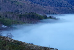霧覆う湖面