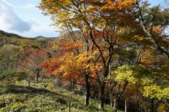 紅葉ハイク