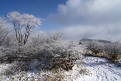霧氷の鍋割山