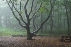 神秘な雨