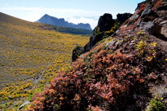ゴールド染まる湯ノ平