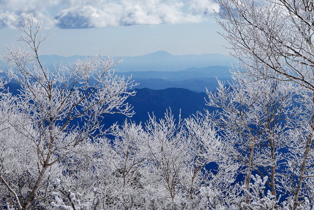 霧氷と筑波山