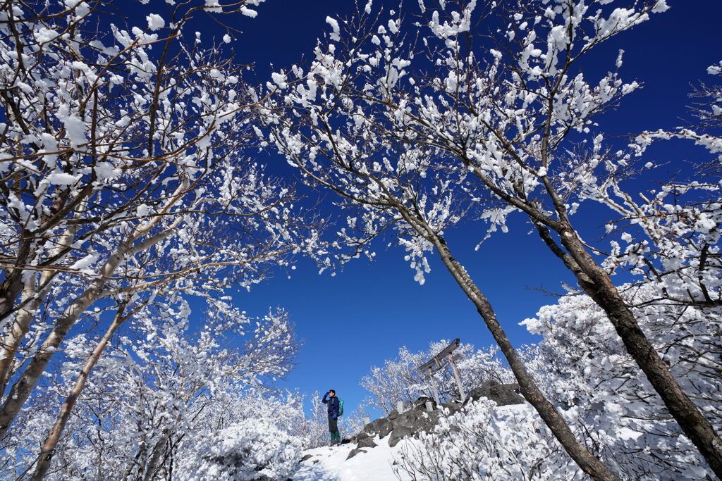 霧氷の赤城山大神