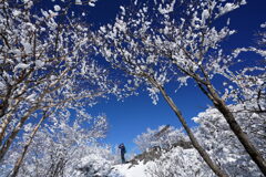 霧氷の赤城山大神