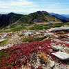 レッドカーペットの木曽駒ケ岳
