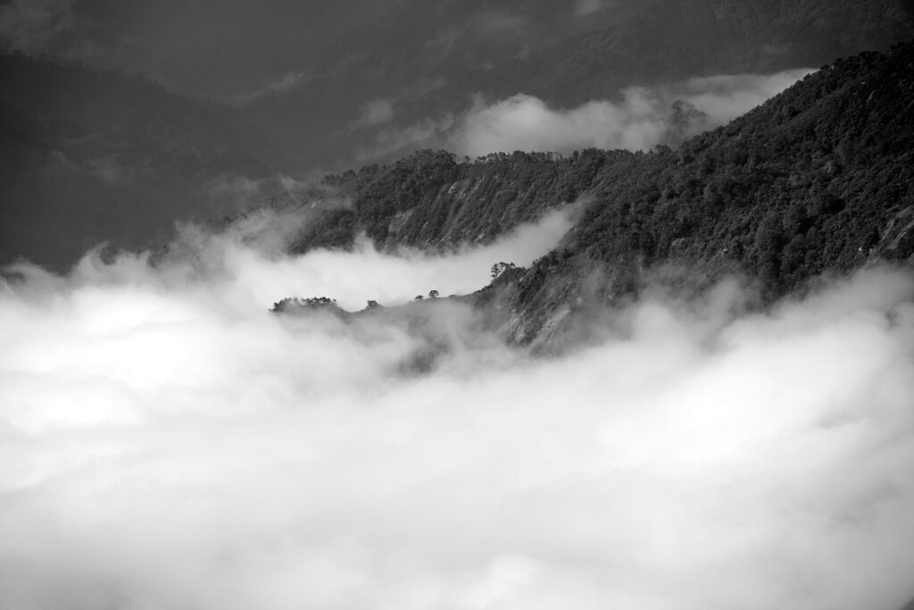 峰迫る雲海
