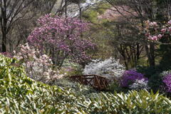 花の展望台