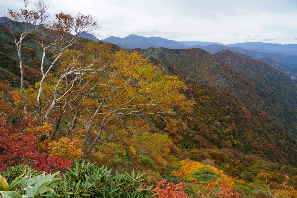 紅葉彩る山へ２