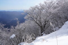 長七郎山の霧氷