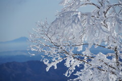 雪景色に癒されて　３