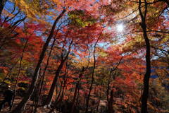 裏妙義もみじ谷