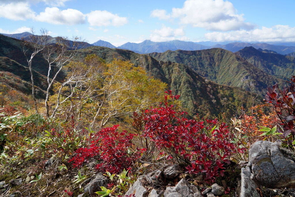 紅葉飾る尾根