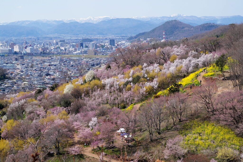 天空の花園
