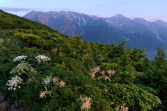 朝焼けの白馬三山