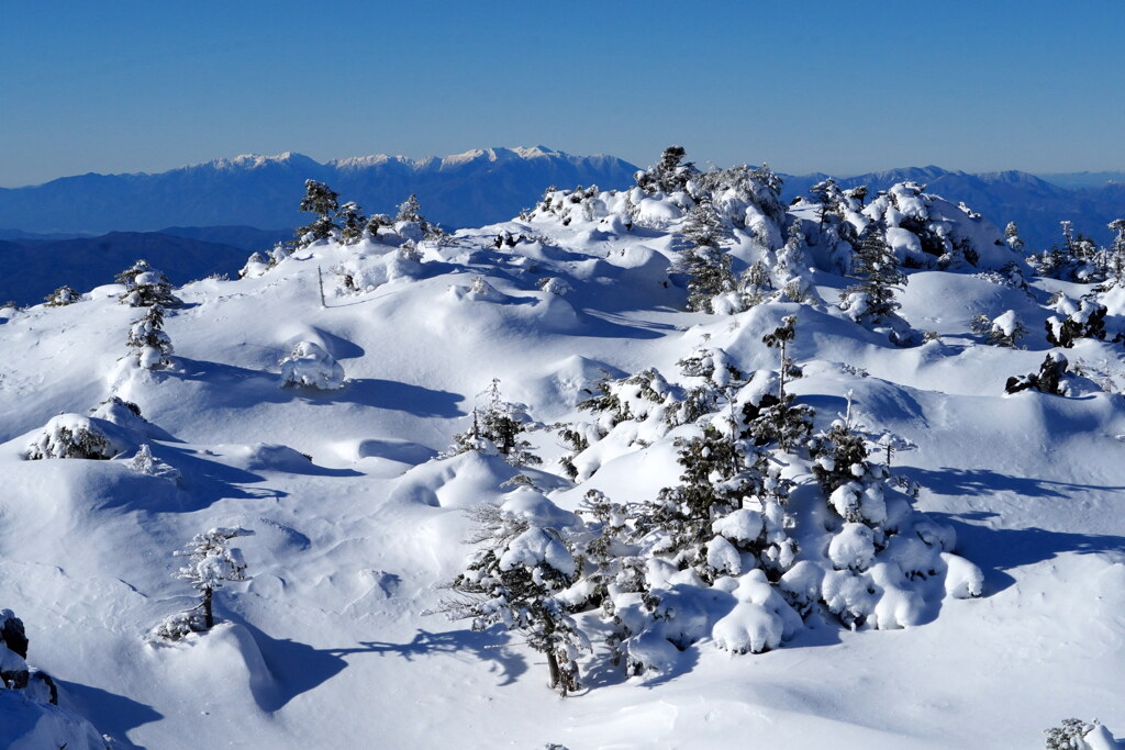 雪クリーム覆う坪庭