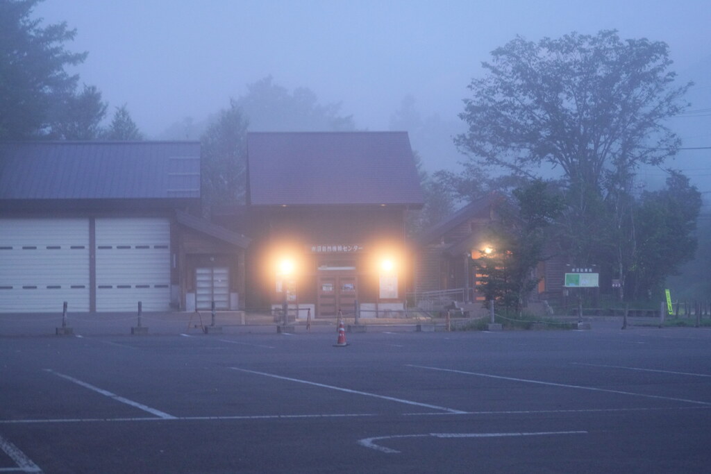 朝霧の赤沼