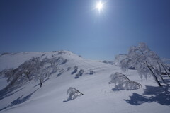 柔らかな雪景色