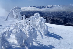 枝垂れ霧氷飾る山頂