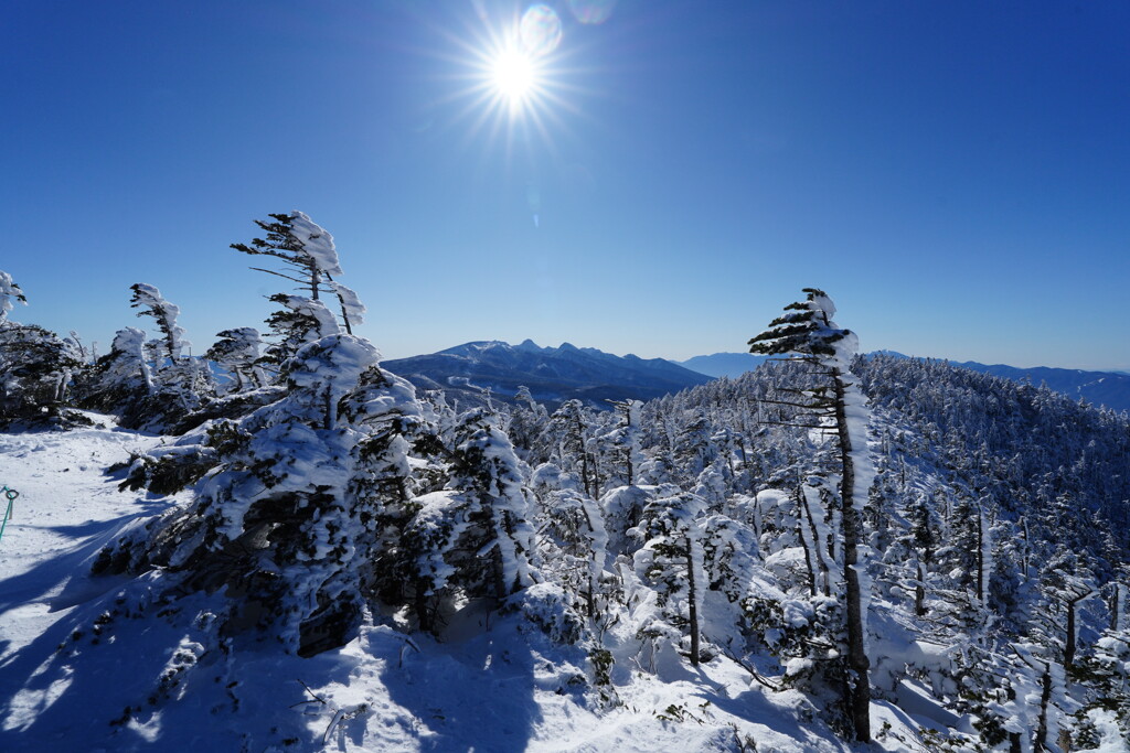 樹氷の北横岳