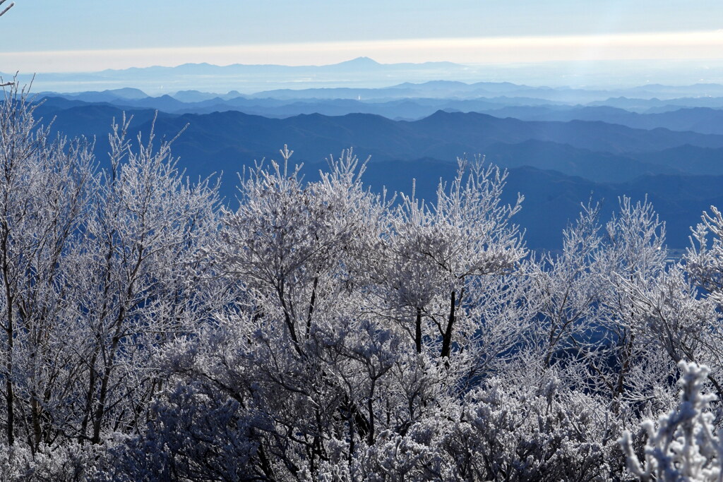 筑波山を眺めながら