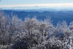 筑波山を眺めながら