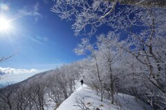 青空に霧氷輝く