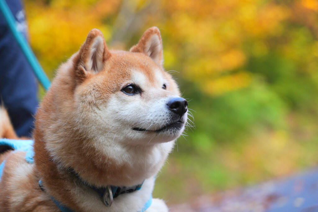 視線の先は
