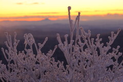 朝焼けの筑波山