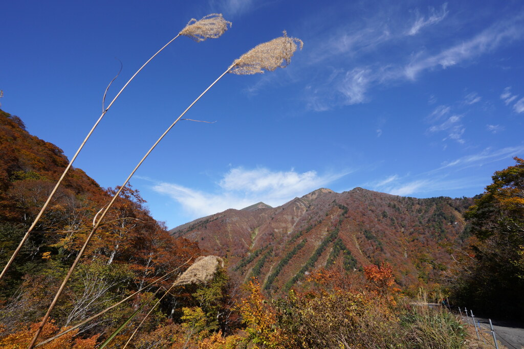 秋空