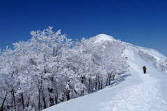 霧氷飾る日白山