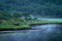 朝霧の覚満淵