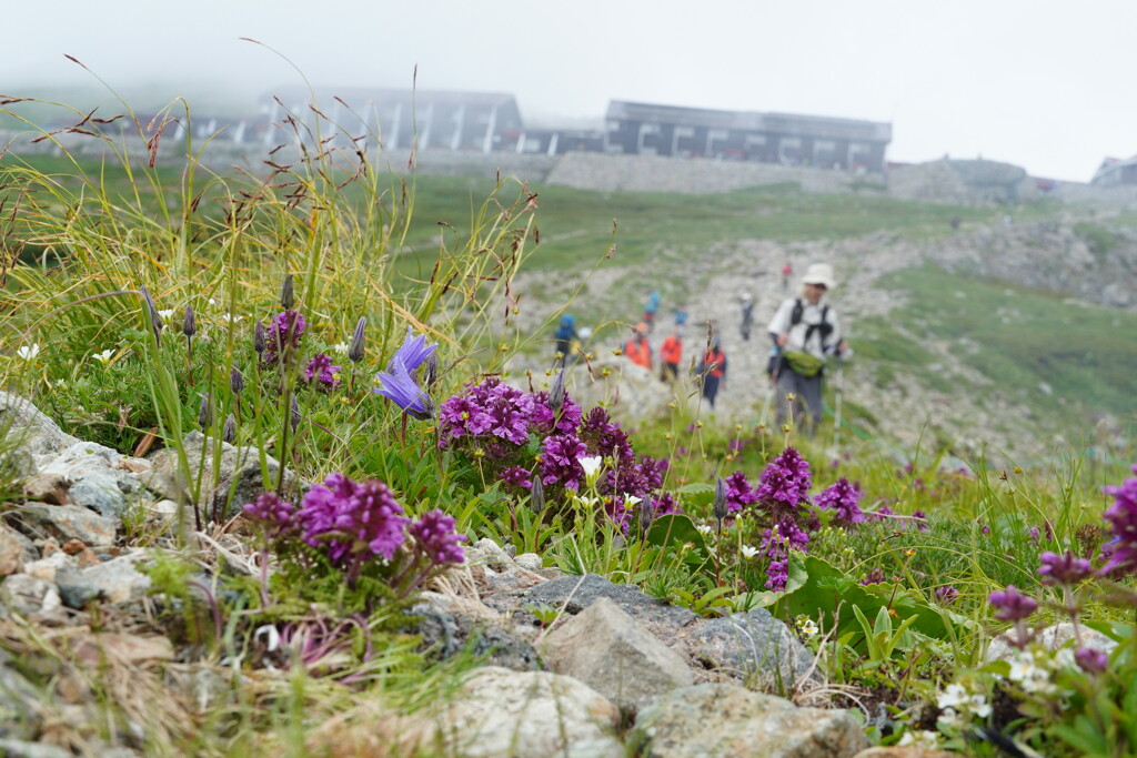 17時絶えない登山者