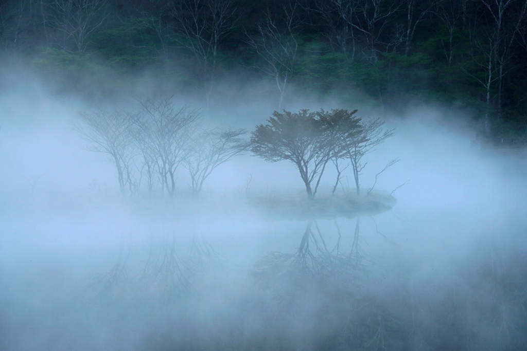 朝霧の覚満淵