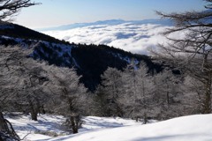 霧氷の先に