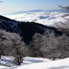 霧氷の先に