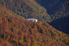 錦に埋まるロープウェイ駅