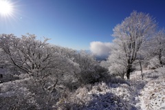 雪化粧