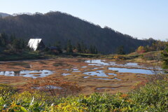 草紅葉囲む高谷池ヒュッテ