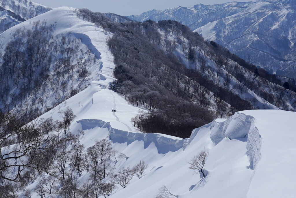 雪庇街道