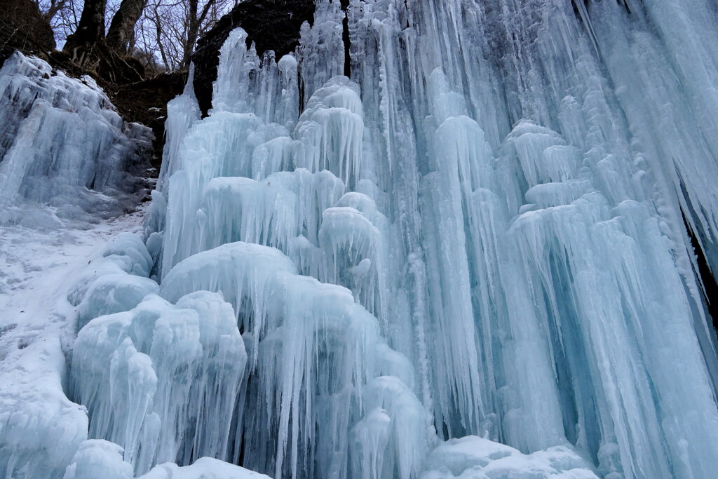水色光るクラゲ氷