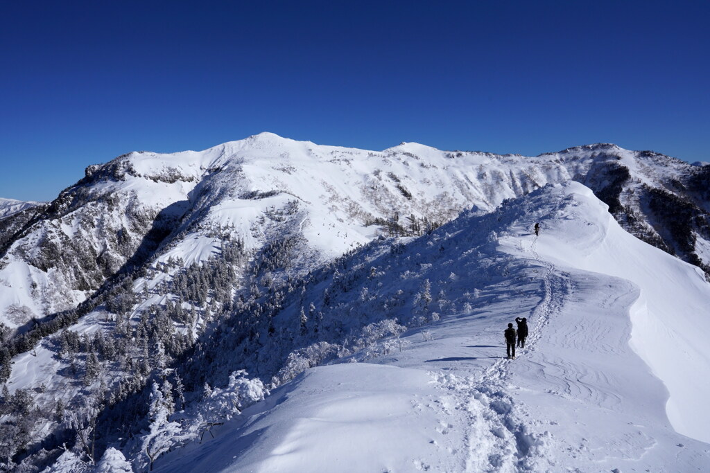 トレースの先に