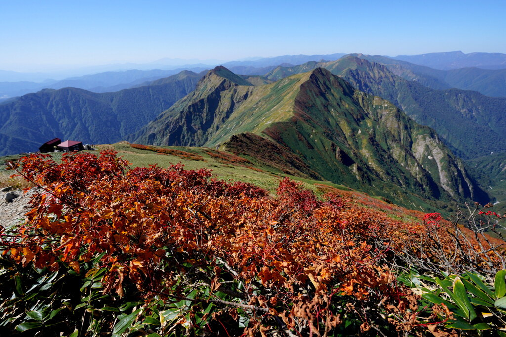 紅葉の谷川肩ノ小屋